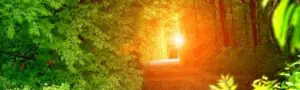 dreams_blog