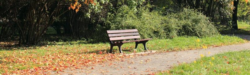 autumn_bench